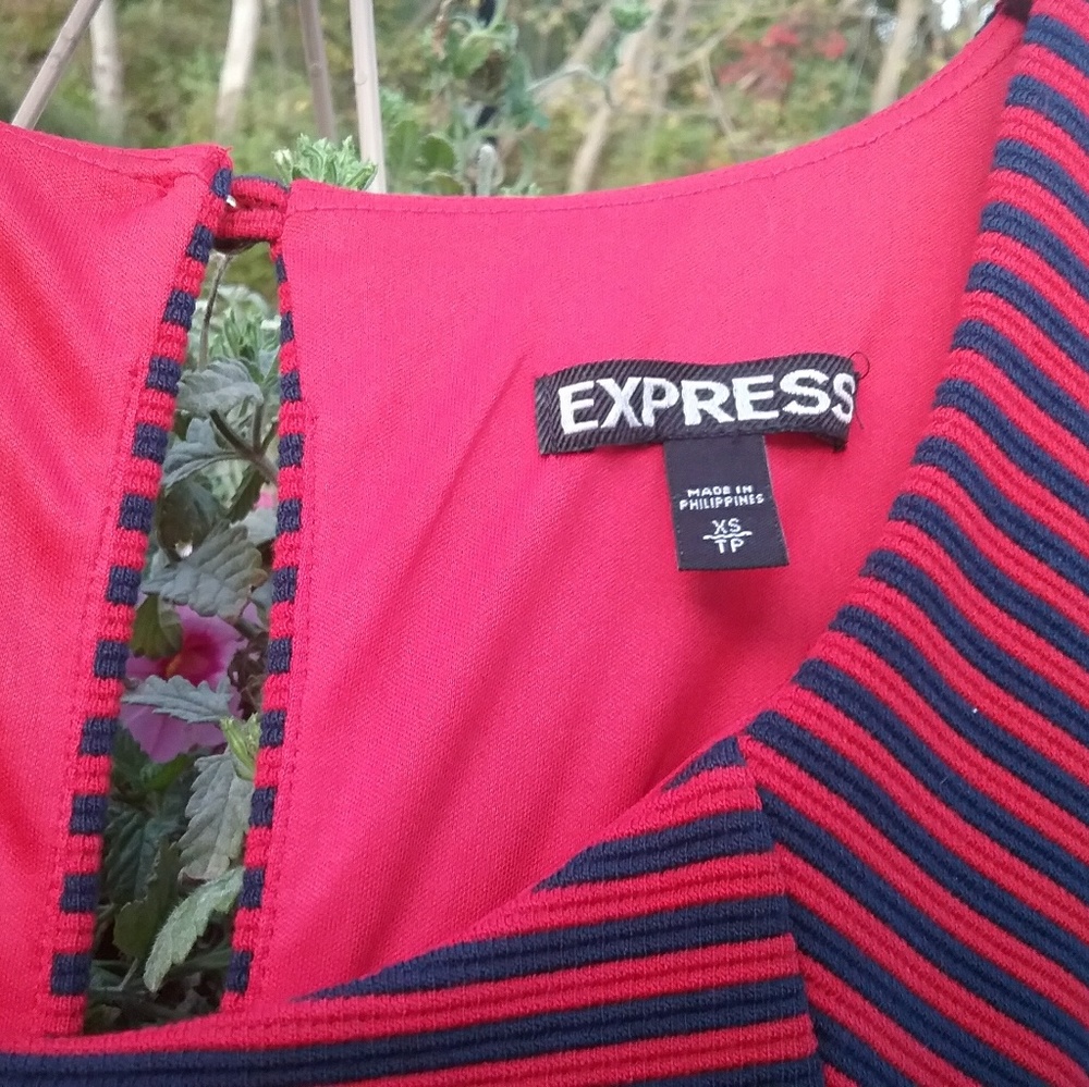 Express Striped Sleeveless Skater Dress - Picture 5 of 8